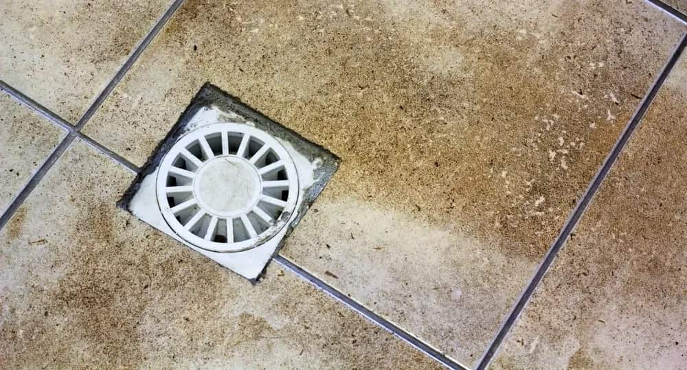 basement floor drain